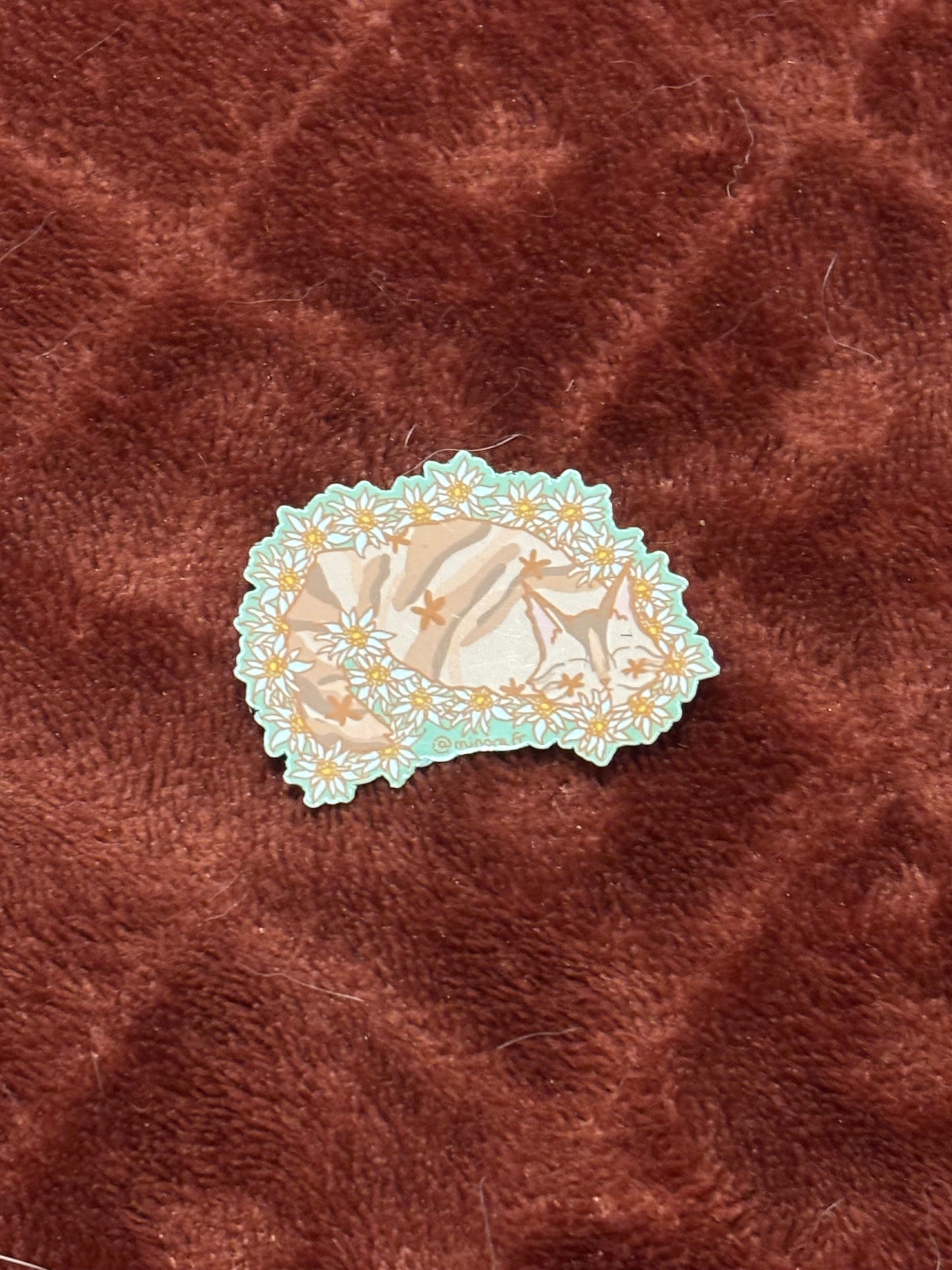 sticker edelweiss