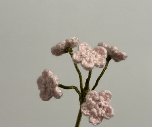 branche de myosotis
