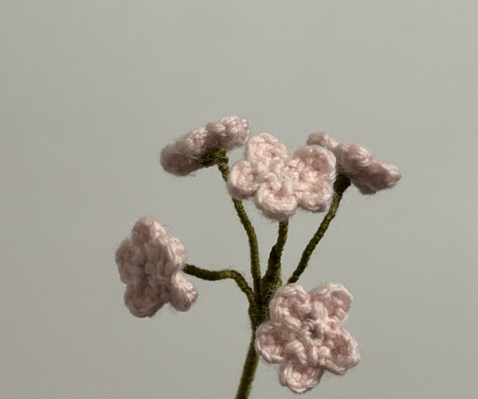 branche de myosotis
