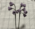 branche de campanules