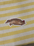 coquelicot (sticker)