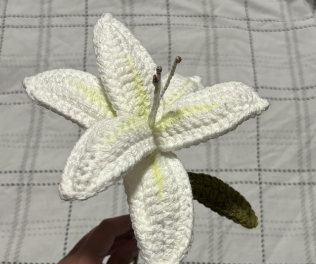 lys