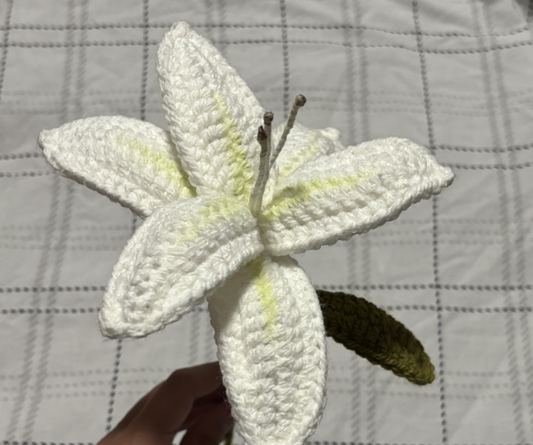 lys